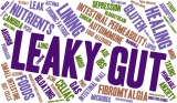What is Leaky Gut syndrome?  And how it’s Affects Hair Growth and Wellness